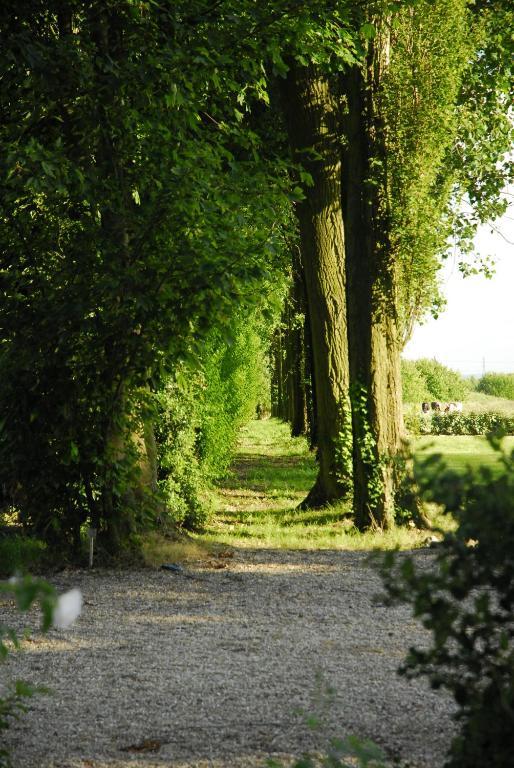 Manoir De Bray Hotel Epretot Ruang foto